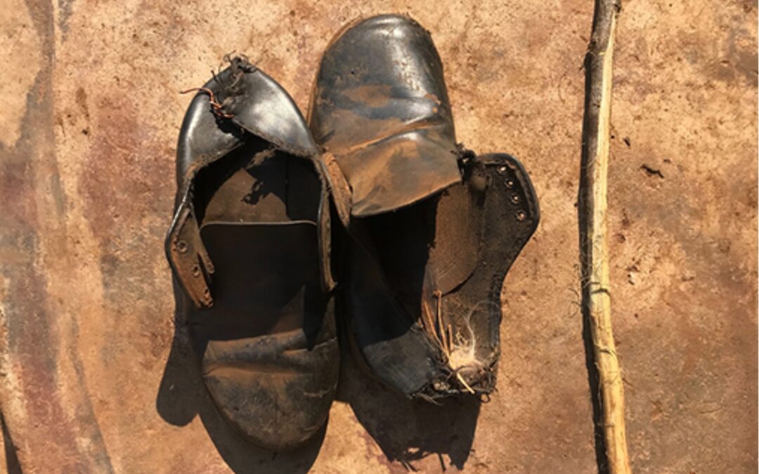 THE SOUTH AFRICAN ROOTS OF PUBLIC HEALTH