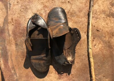 THE SOUTH AFRICAN ROOTS OF PUBLIC HEALTH